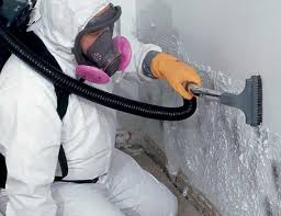 Asbestos and Lead Testing During Mold Inspection in Garland, NC